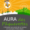 Aura des paquerettes