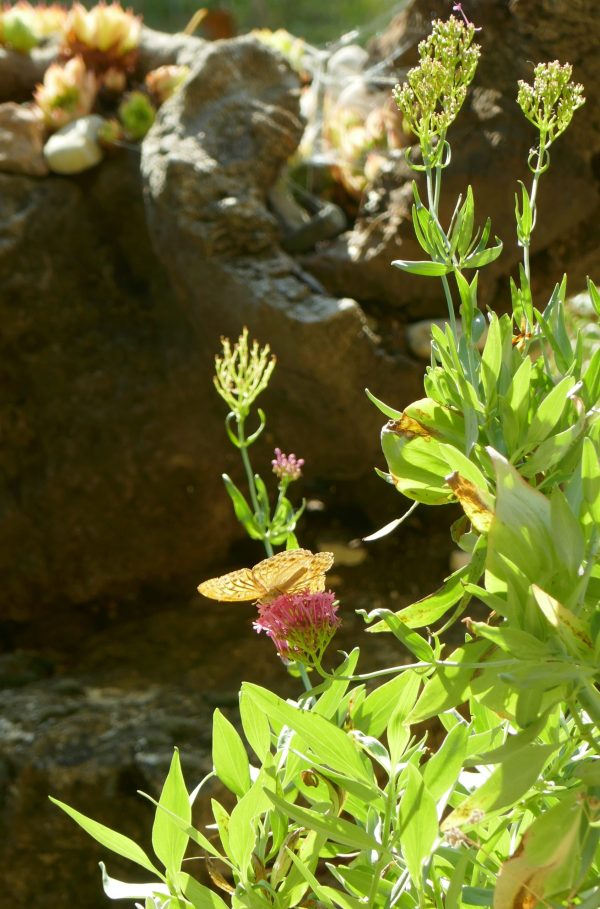 P1210880